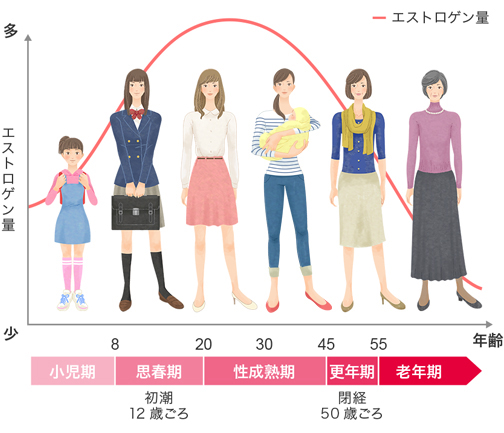 女性ホルモンの急減