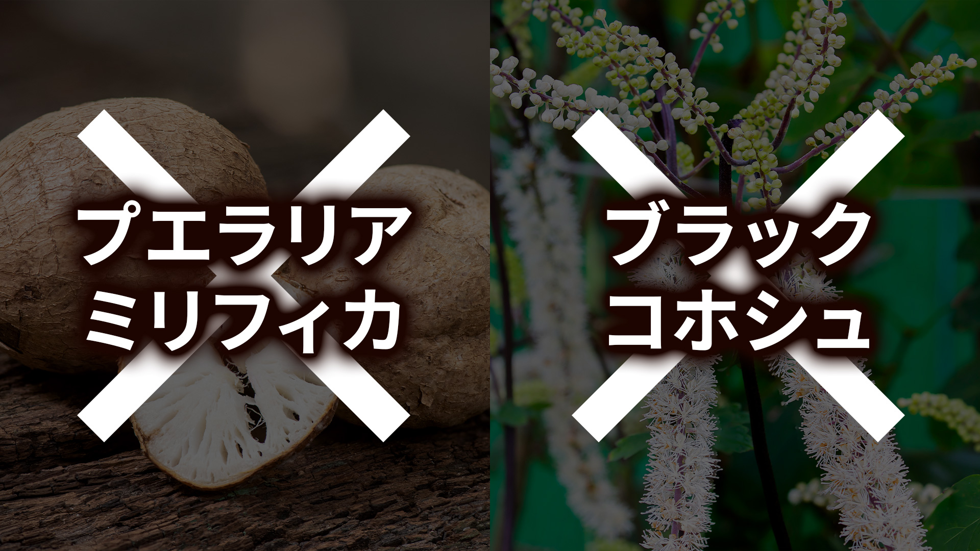 植物・食品由来の成分だけ、安全にバストアップできる安心感